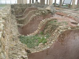 Fish-salting factories at Neapolis