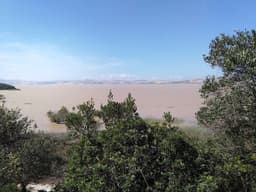 Lake Ichkeul, another view