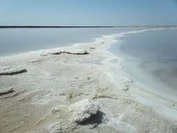 Brine and salt on the flat