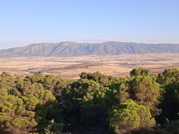 Jebel Bargou