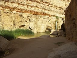 Tamerza Waterfall, another view