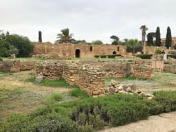 House of the Cryptoporticus
