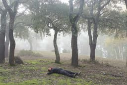 Beni Mtir forest