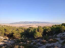 Jebel Bargou, another view