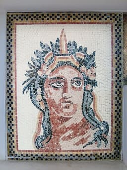 Roman mosaic in the Bardo collection