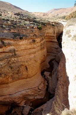Mides Oasis, another view