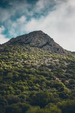 A rocky summit of Jebel Zaghouan