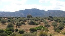 The Bargou massif