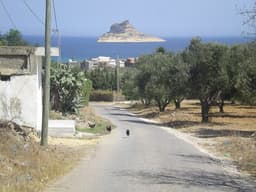 Pilau, another view