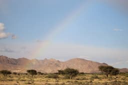 Acacias and the mountain front